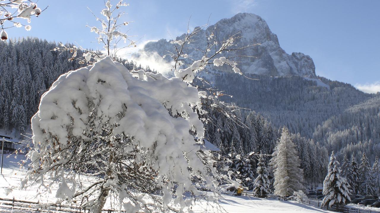 Garni Hotel Rosengarten B&B Selva di Val Gardena Zewnętrze zdjęcie